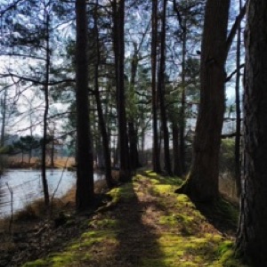 Loiret, suite ☀️